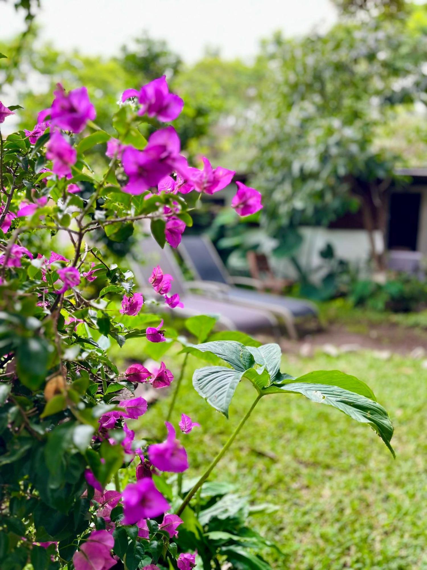 Hostal Antigueeno Antigua Kültér fotó