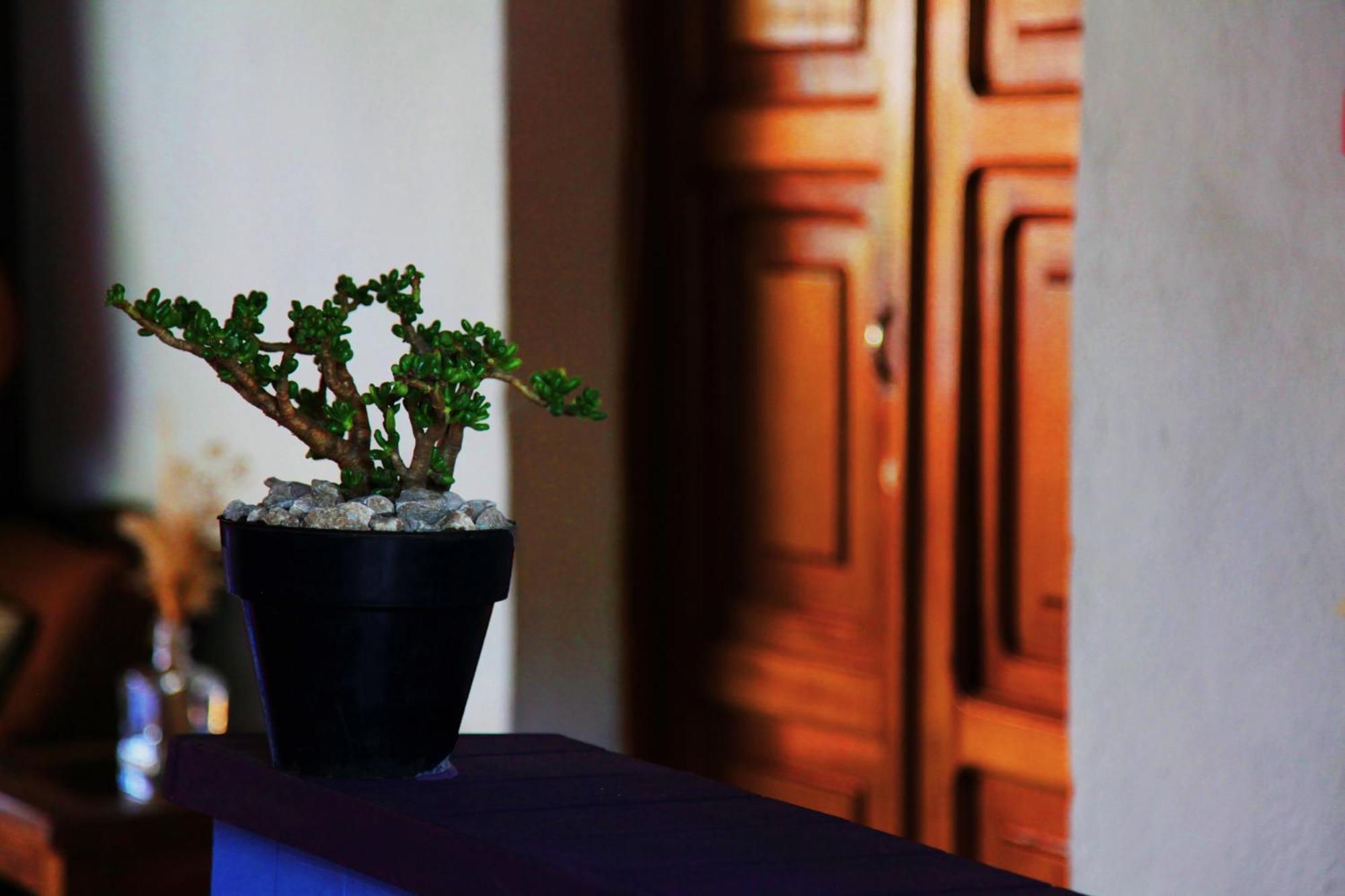 Hostal Antigueeno Antigua Kültér fotó