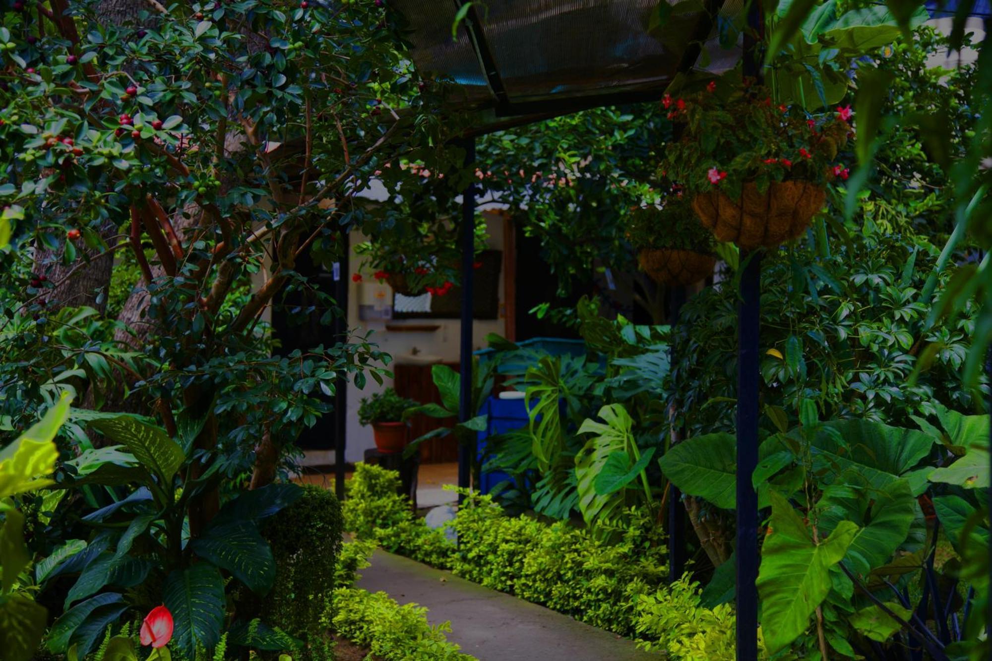 Hostal Antigueeno Antigua Kültér fotó